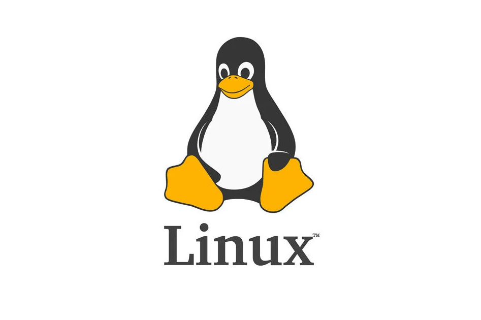 apache-host&fpm